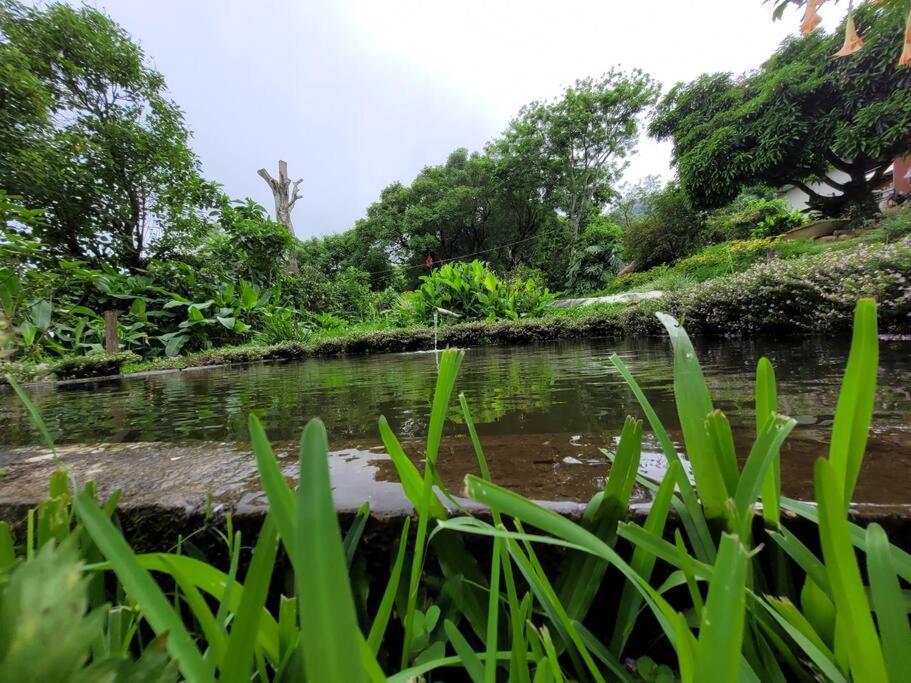 Granja Orgánica los Campesinos Monteverde Exterior foto